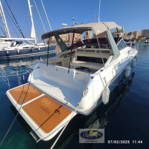 Sea Ray Sundancer 310